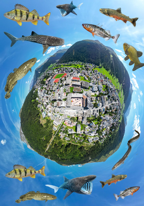 Luftbild Davoshaie
©2023 marcel giger